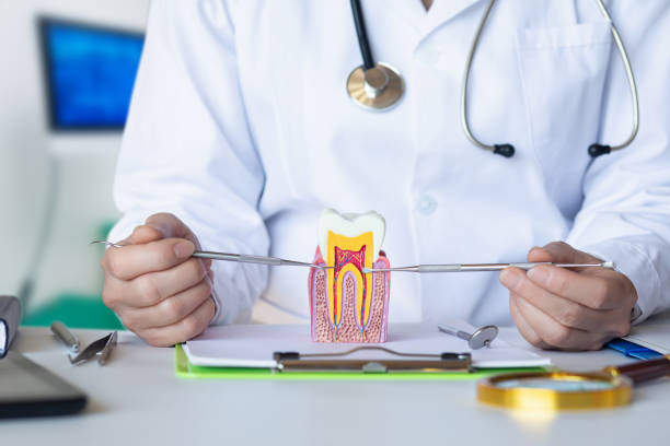 Best Emergency Dentist for Knocked-Out Tooth in Brock Hall, MD